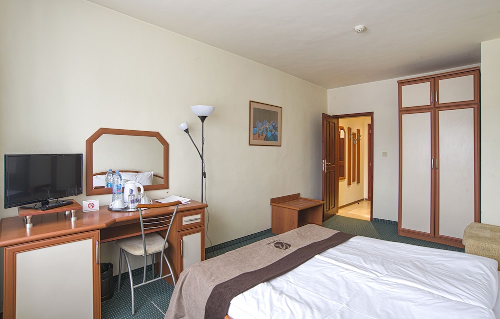 Double or Twin Room, Mountain View