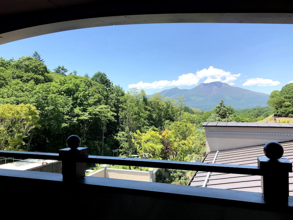 Deluxe Double Room, Non Smoking (Mt. Asama View), photo 6