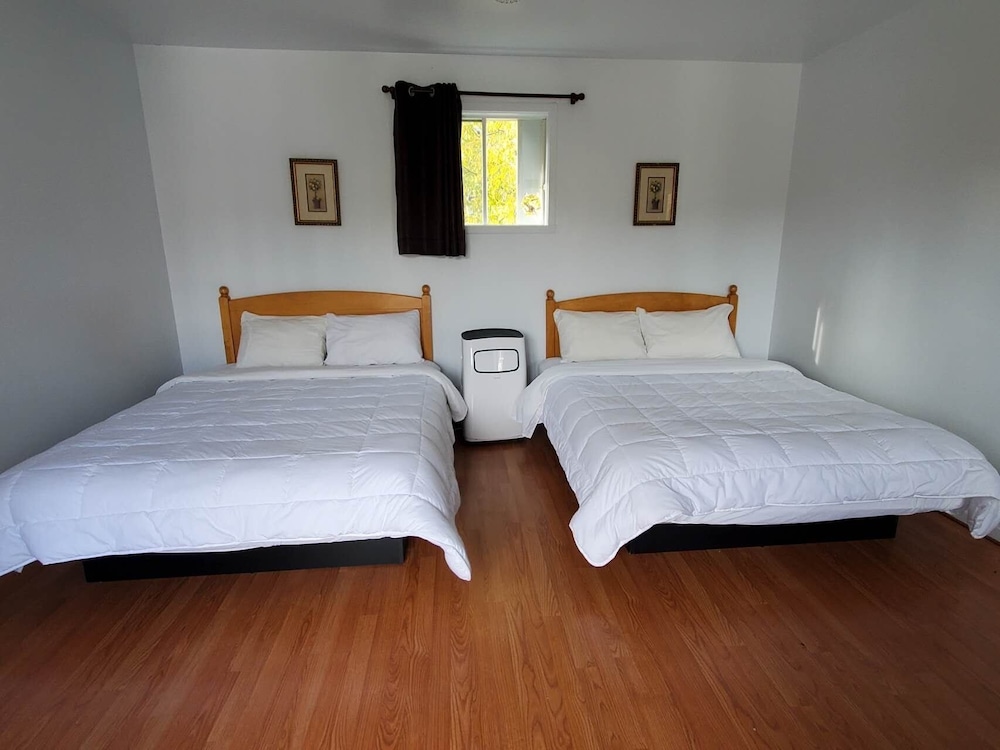 Economy Room, 2 Double Beds photo 1