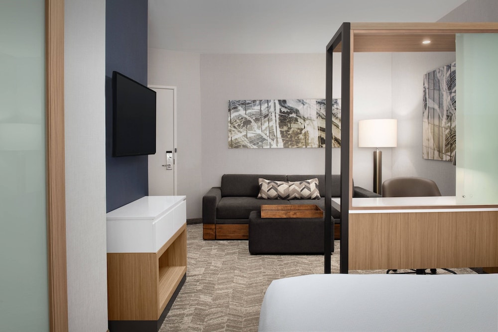 Studio Suite, 1 King Bed - Photo 3