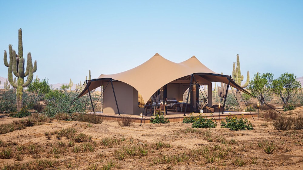 Tent Ocotillos photo 1