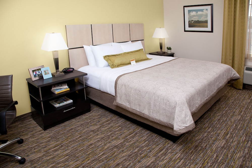 Studio Suite, 1 Queen Bed photo 2