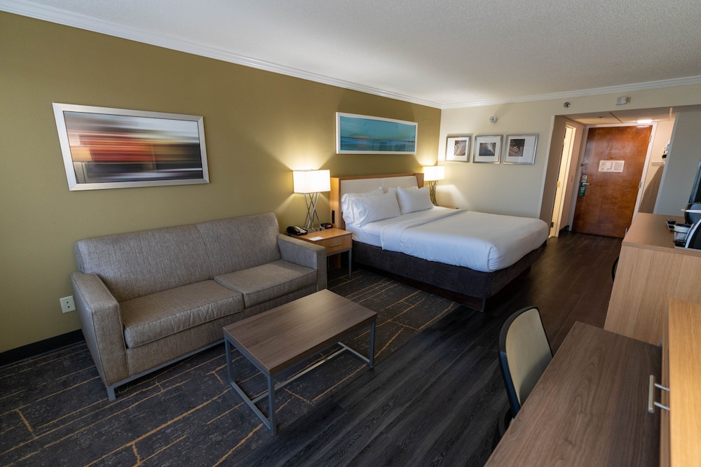 Standard Room, 1 King Bed, Accessible (Communication, Roll-In Shower)