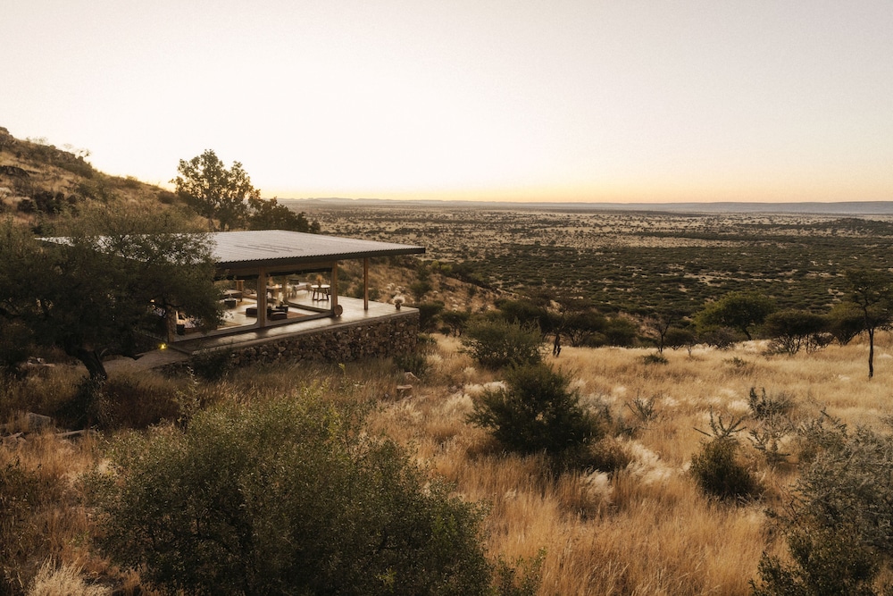 Room (Savanna) - Photo 4