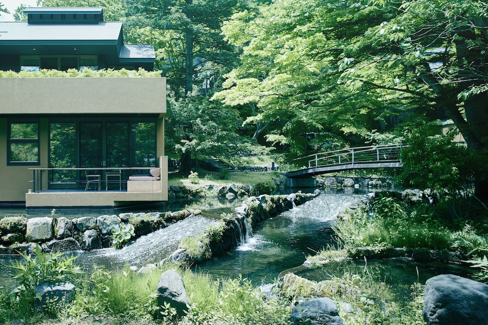 Mizunami (Water Side King)  photo 2