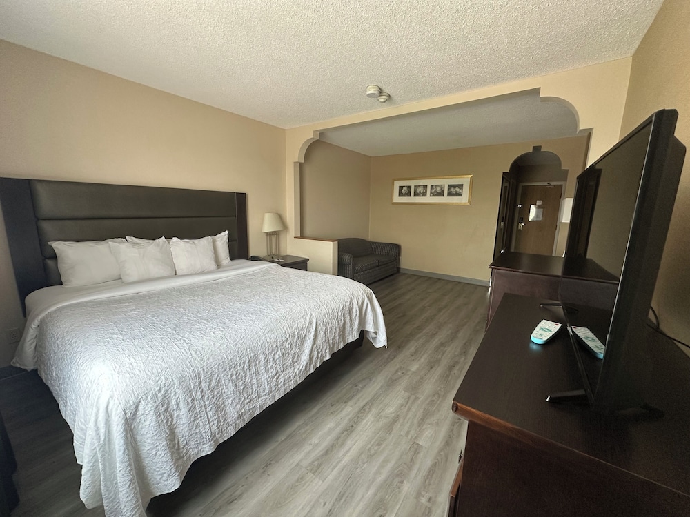 King Size Suite, 1 King Bed with Sofa bed photo 1