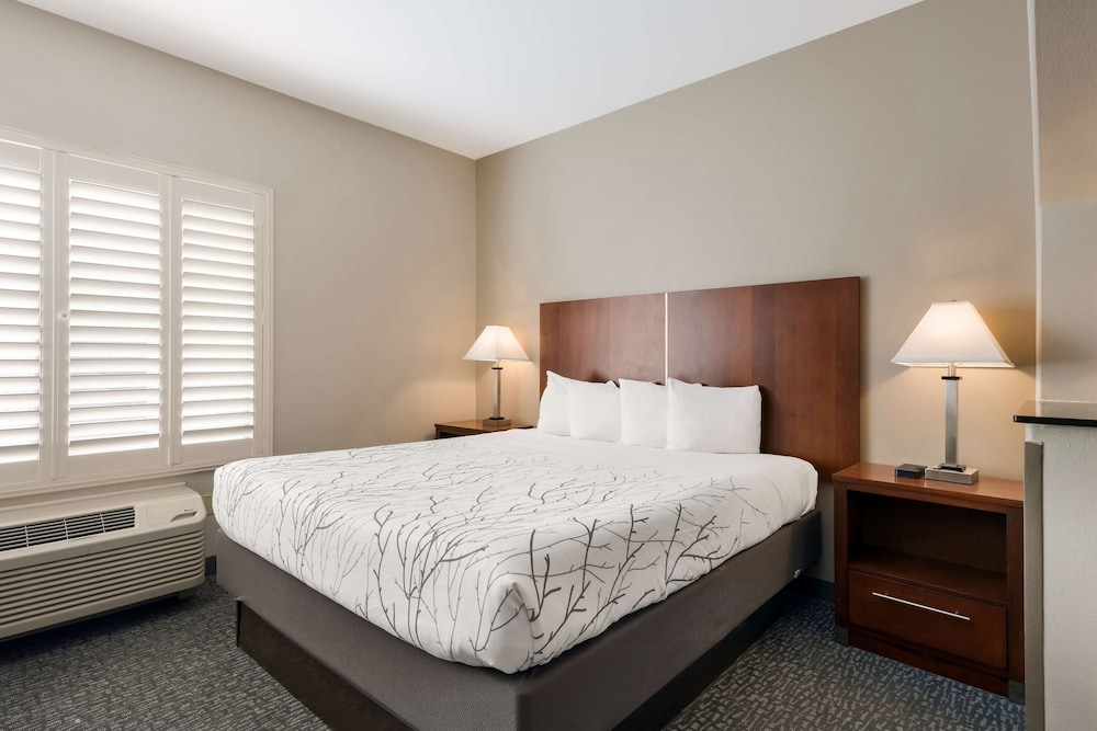 Suite, 1 King Bed, Non Smoking, Refrigerator & Microwave - Photo 3