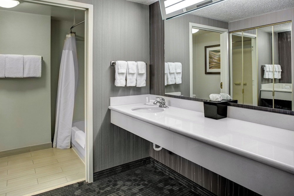 Executive Suite, 1 Queen Bed with Sofa bed