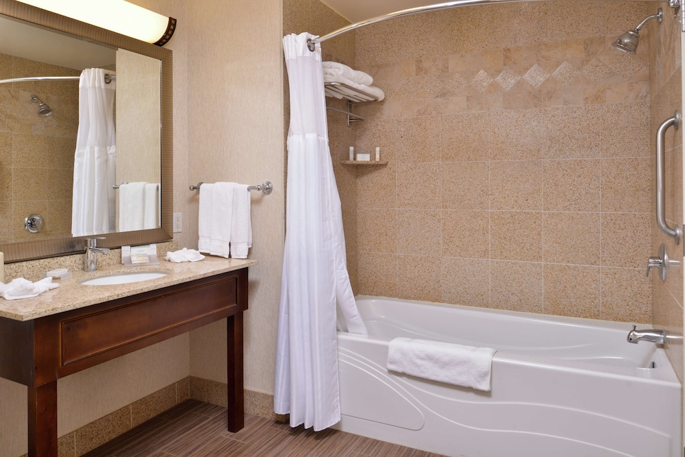 Room, 1 King Bed, Accessible - Photo 4