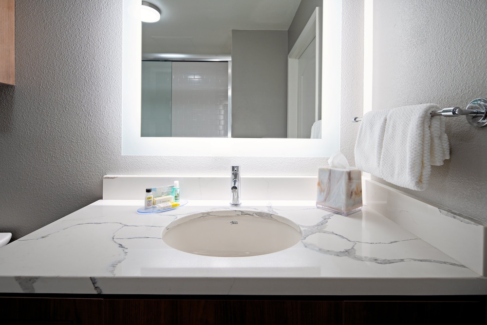 Studio Suite, 1 Queen Bed, Accessible Bathtub, Kitchen (Accessible Tub) - Photo 4