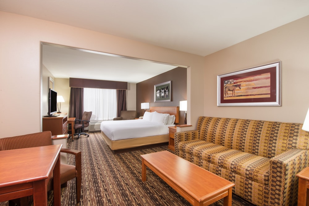 Suite, 1 King Bed with Sofa bed, Accessible (Comm) - Photo 2