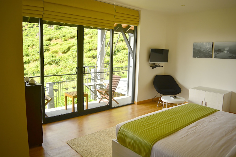 Deluxe Single Room, 1 Queen Bed, Mountain View