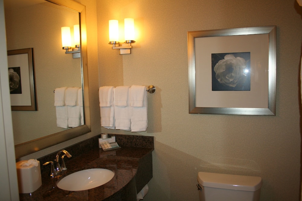 Junior Suite, 1 King Bed, Accessible - Photo 5