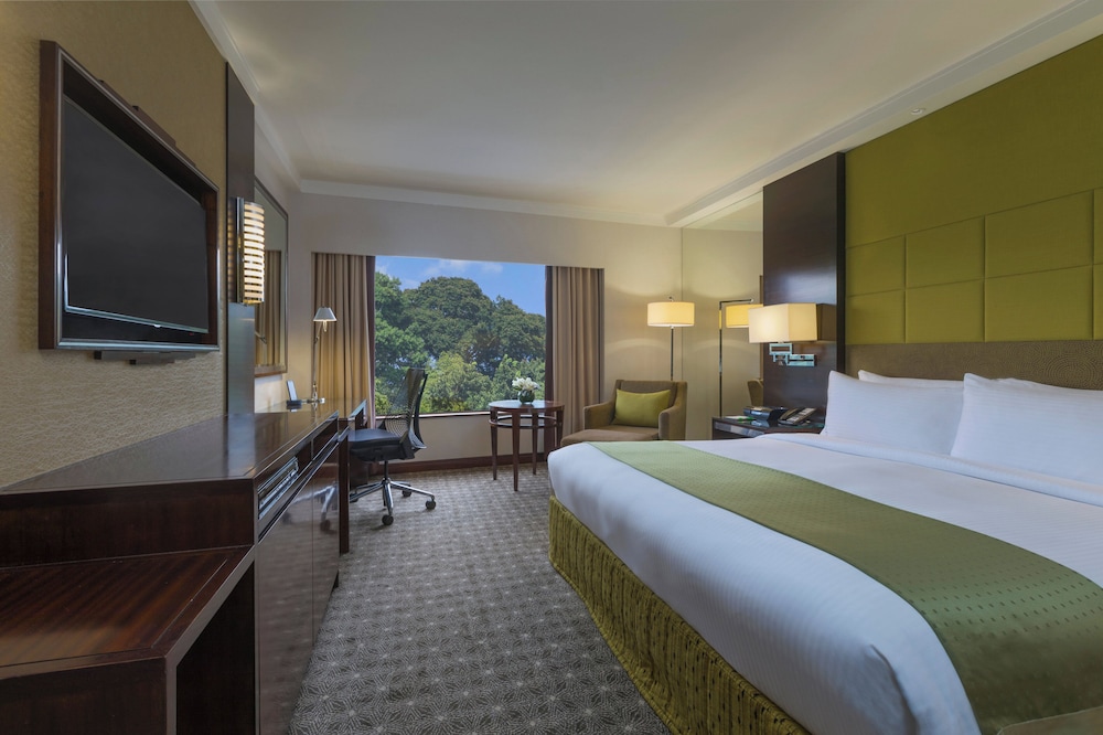 Suite, 1 King Bed