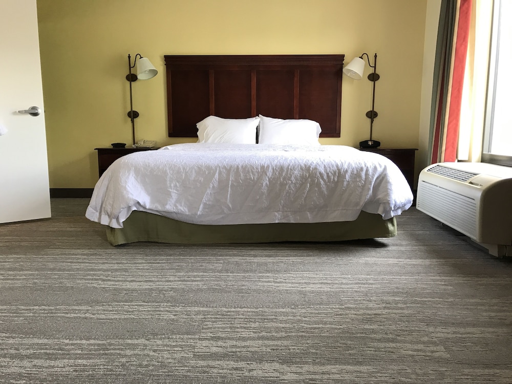 Room, 1 King Bed, Accessible, Non Smoking - Photo 15