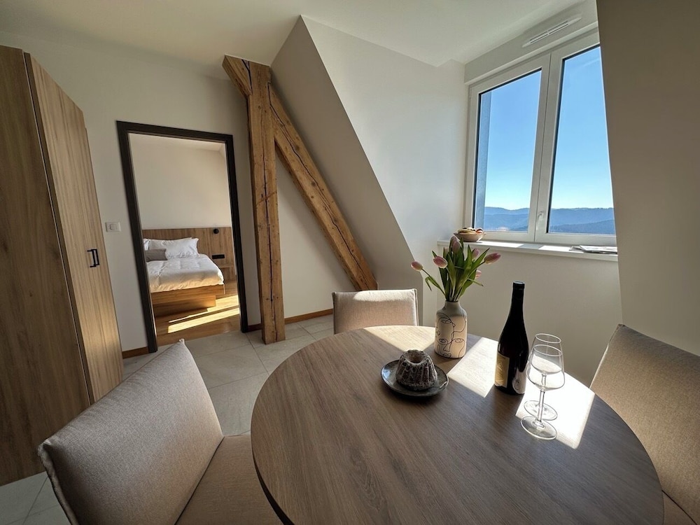 Standard Apartment, Mountain View