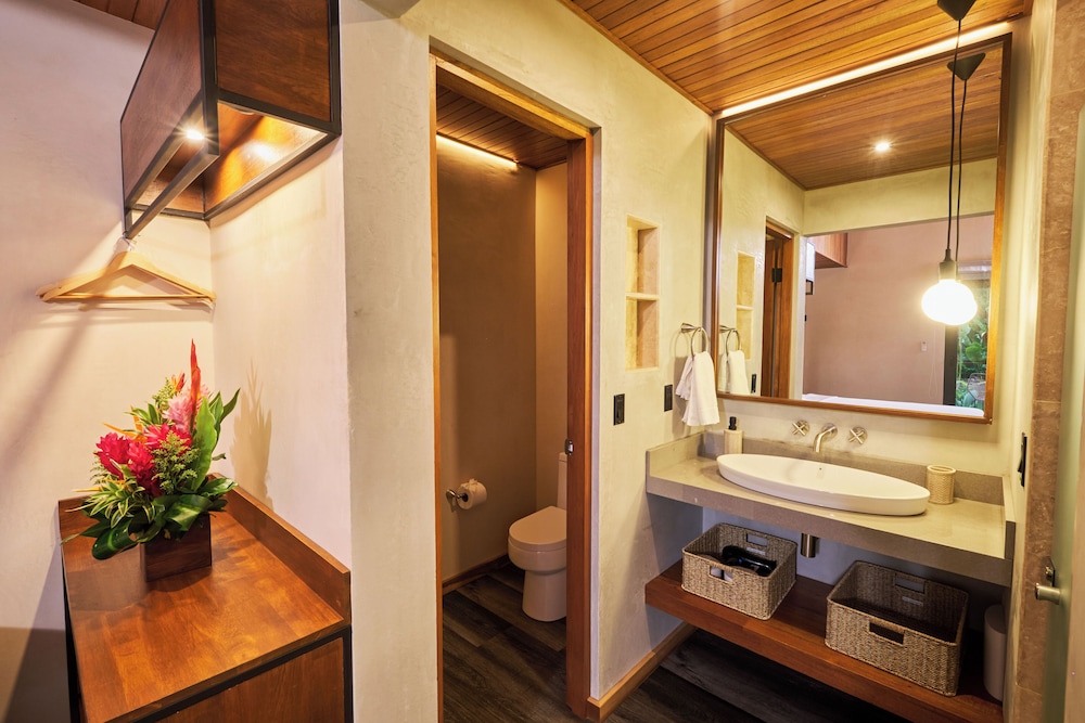 Premier Room, 1 Bedroom photo 3