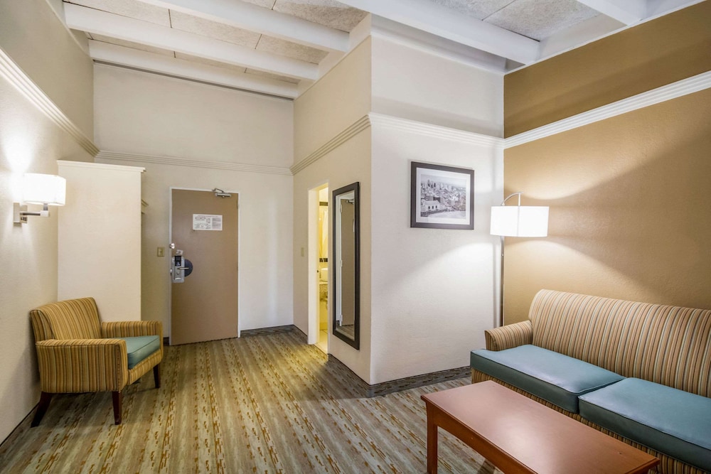 Suite, 1 King Bed with Sofa bed photo 2