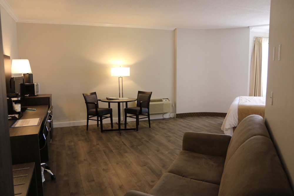 Suite, 1 King Bed with Sofa bed, Non Smoking, Refrigerator & Microwave (with Sofabed)