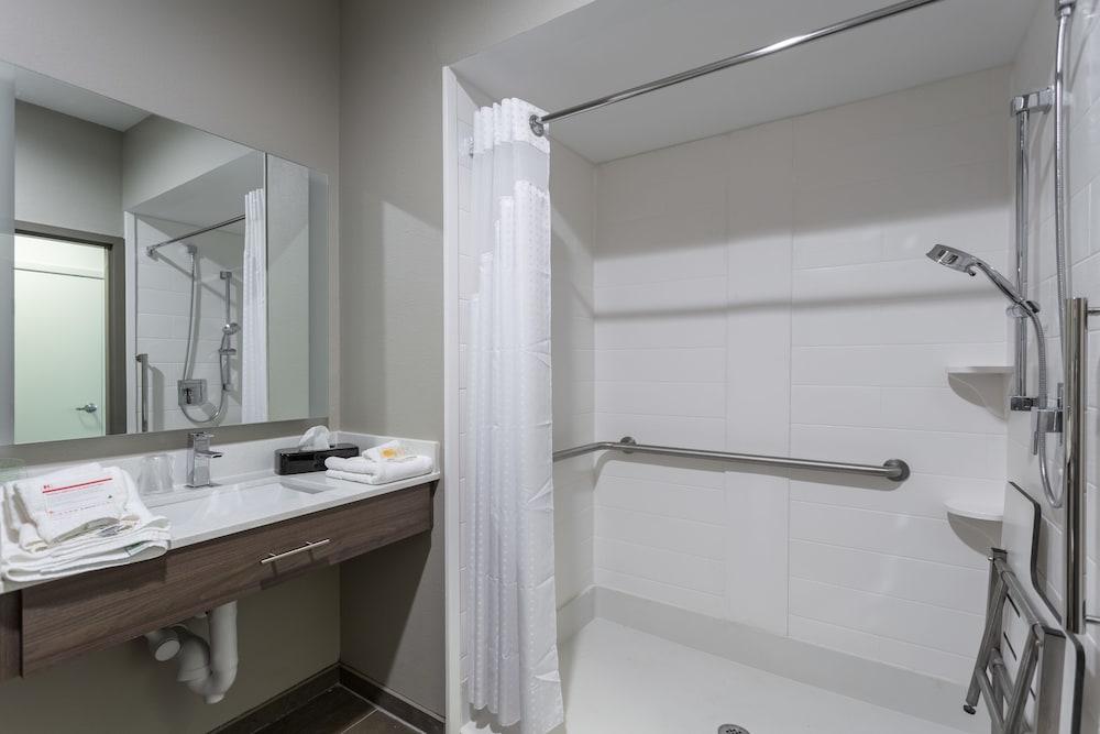 Holiday Inn San Marcos Convention Center by IHG, Photo 4