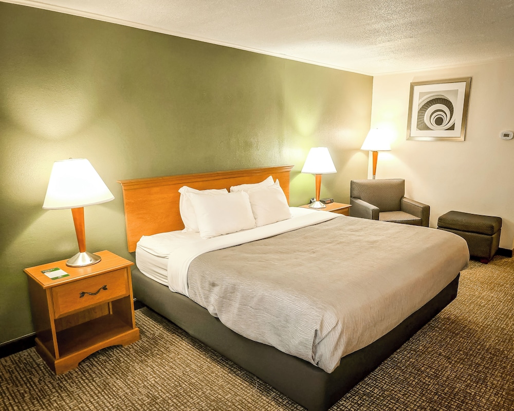 Standard Room, 1 King Bed, Non Smoking - Photo 6