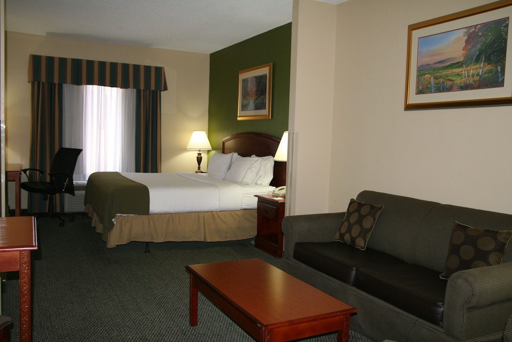 Suite, 1 King Bed - Photo 1