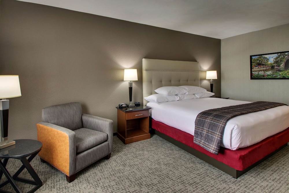 Deluxe Room, 1 King Bed, Accessible, Refrigerator & Microwave (Tub, Upper Floor) photo 3