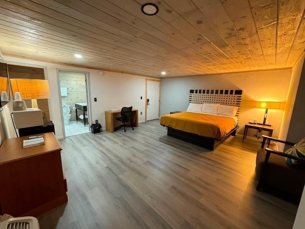 Room, 1 King Bed photo 3