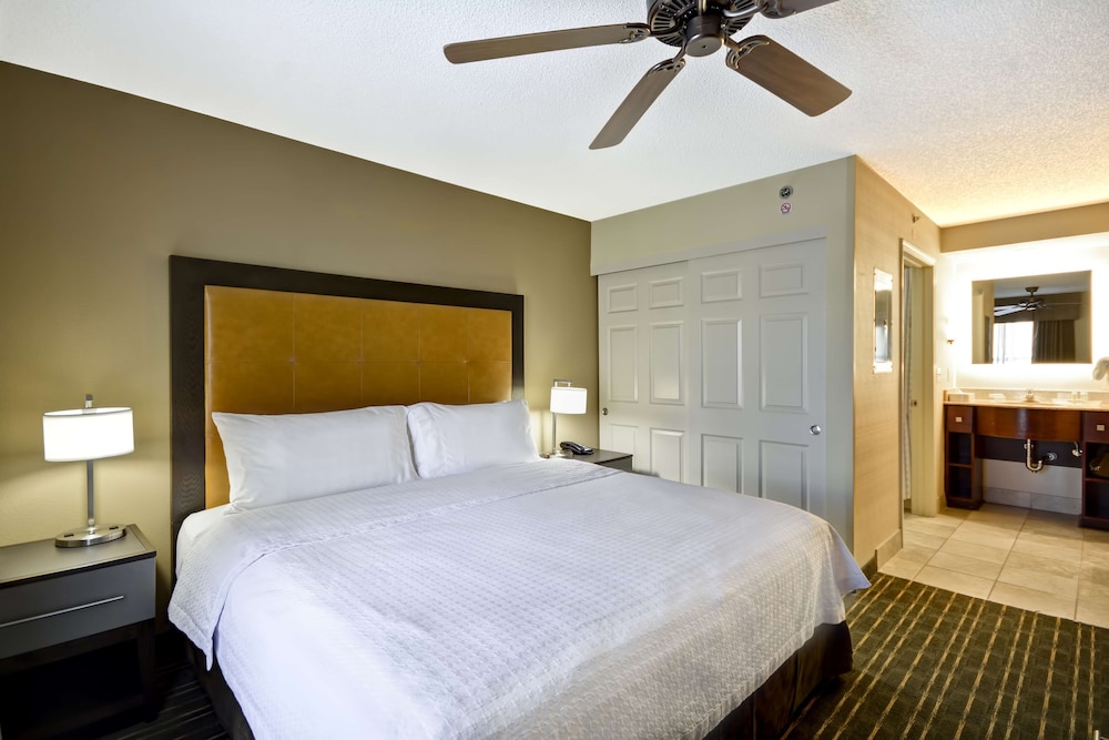 Suite, 1 King Bed photo 2