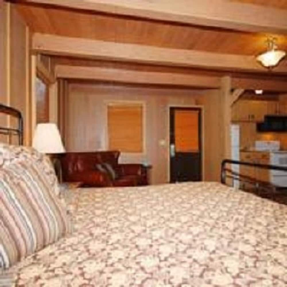 1 Bed Log Cabin photo 1