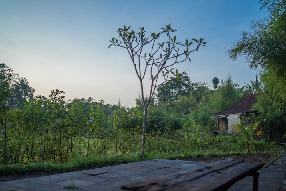 Jepara Triple Bed - Photo 12