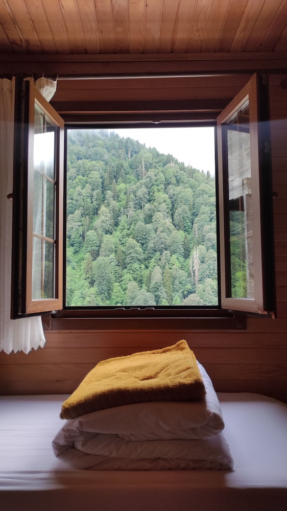 Comfort Room photo 2