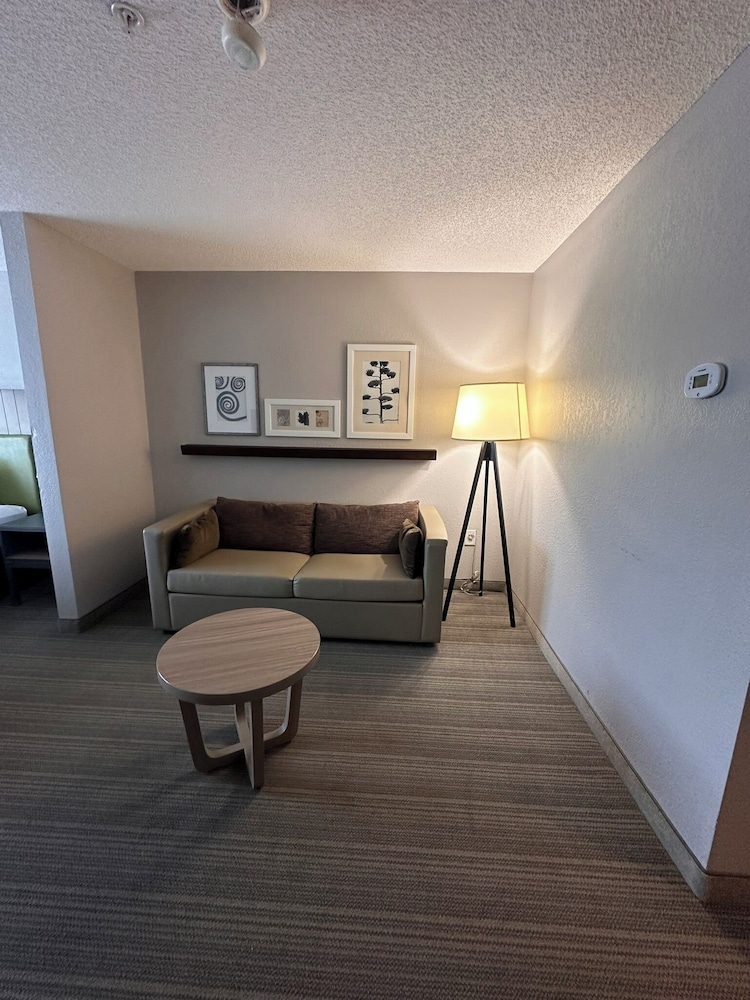 Deluxe Studio Suite, 1 King Bed With Sofa Bed, Non Smoking photo 2