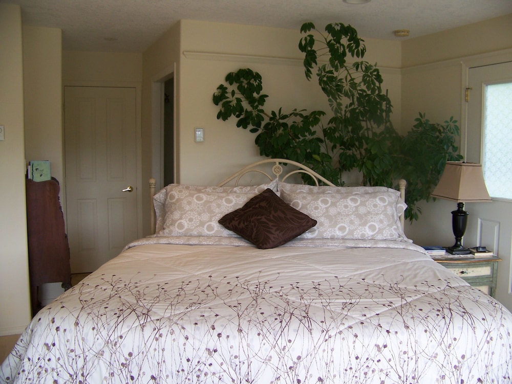 Deluxe Studio Suite, 1 King Bed, Kitchenette (Hummingbird Suite) photo 2