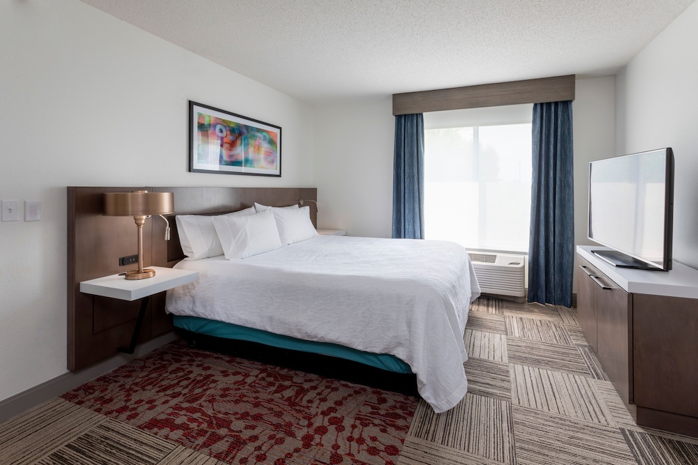 Suite, 1 King Bed, Accessible (Roll-In Shower) - Photo 5