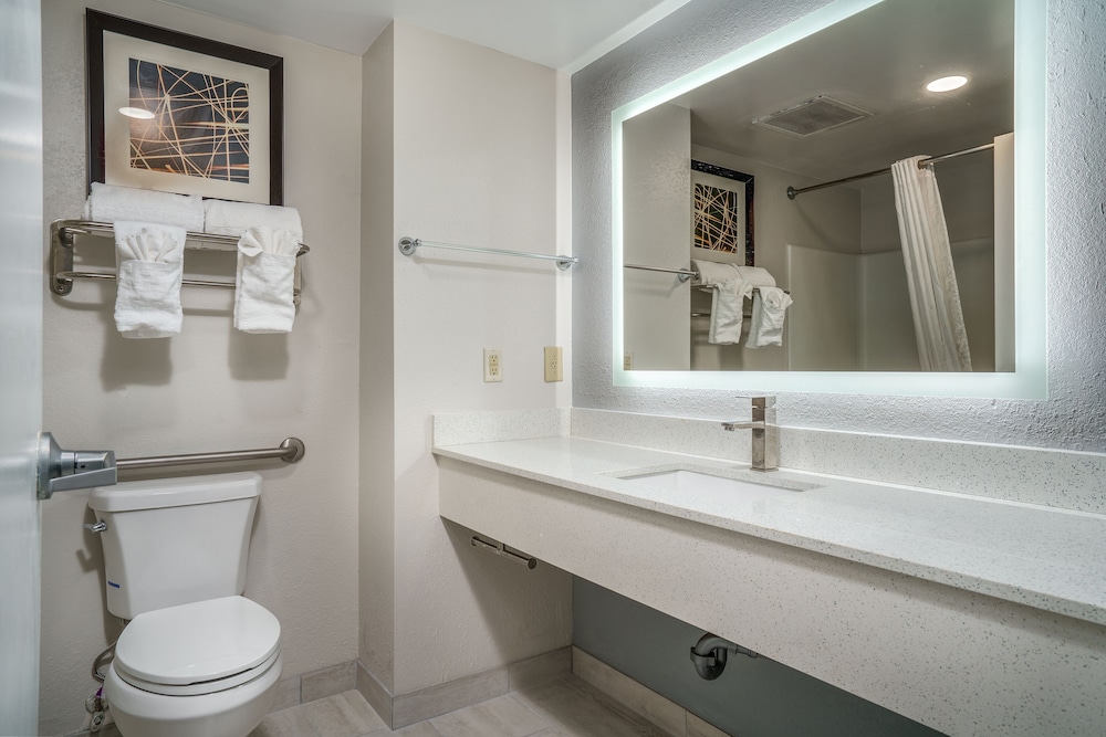 Standard Room, 1 King Bed, Accessible, Jetted Tub photo 2