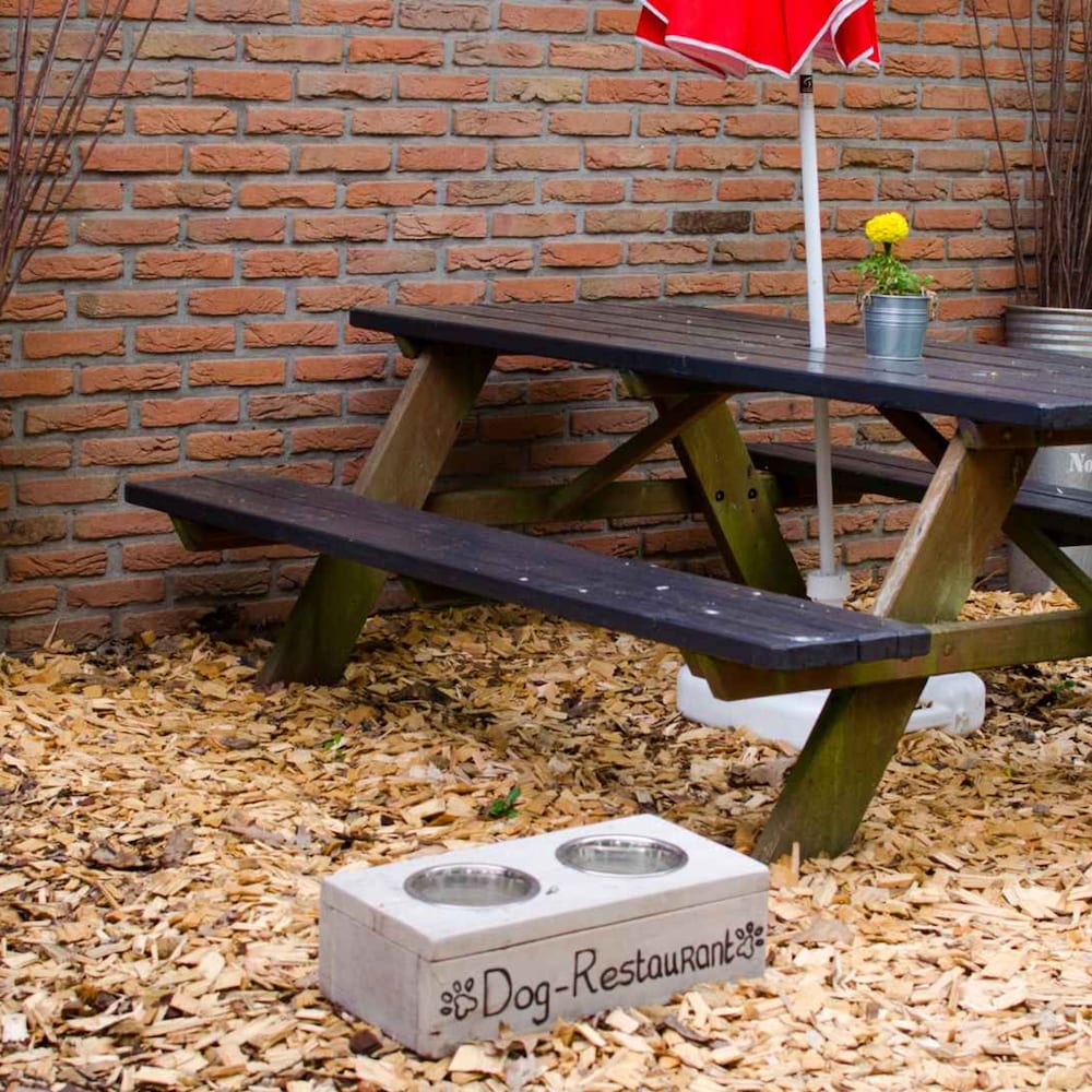 Comfort Sauna 4p i Uelsen, Billede 24