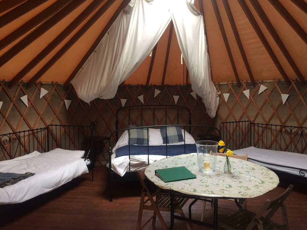 Large Village Yurt photo 3