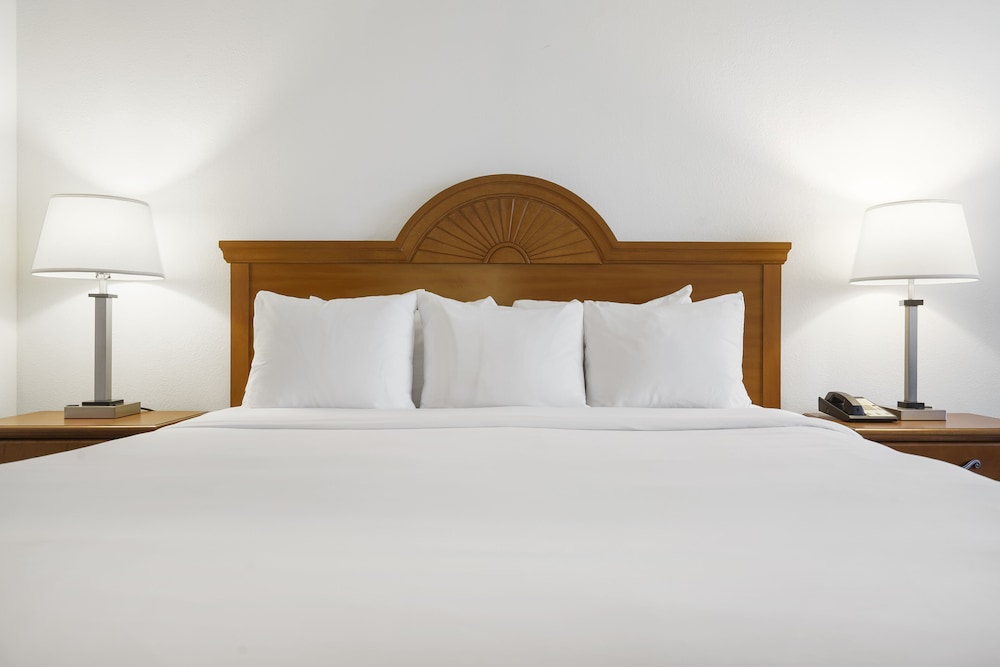 Standard King Room - Photo 2