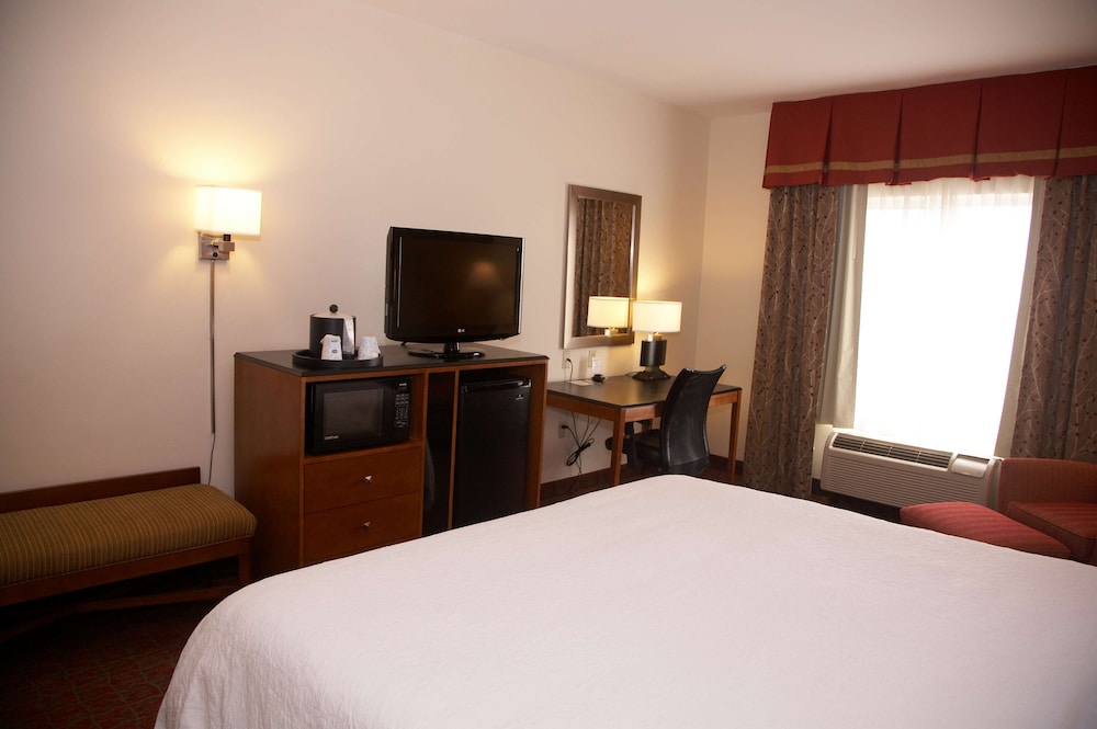 One King Bed - Photo 1