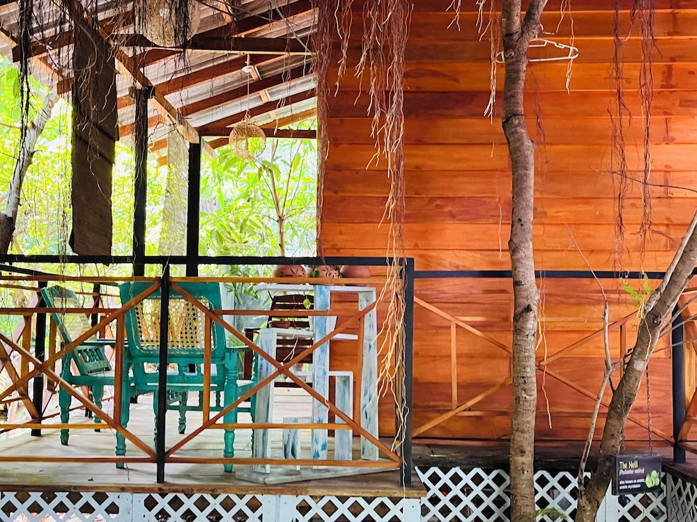 Soul Cabana - Photo 5