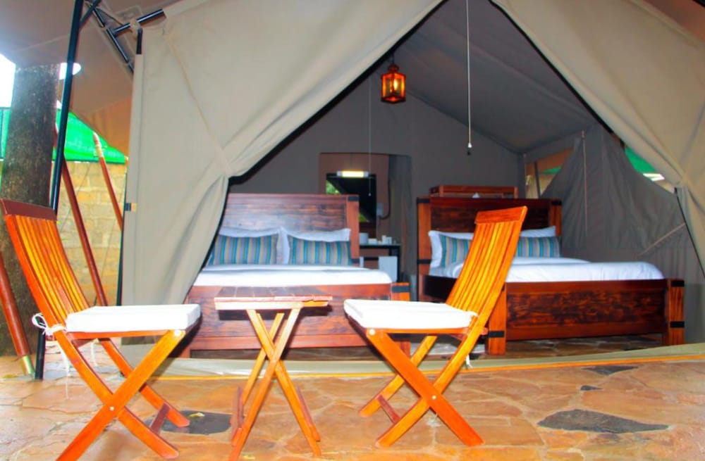Premium Tent
