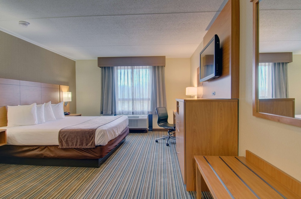 Deluxe Room, 1 King Bed, Non Smoking, Refrigerator & Microwave - Photo 6