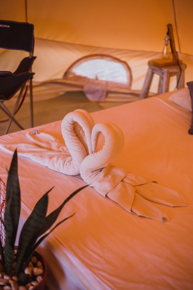 Superior Tent, Private Bathroom, Garden View - Photo 9