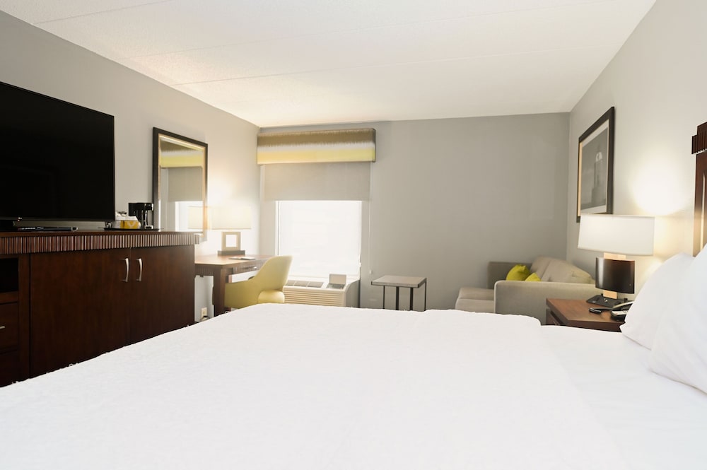 Suite, 1 King Bed with Sofa bed - Photo 2
