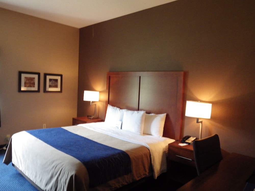 Standard Room, 1 King Bed, Accessible, Non Smoking (Accessible Bathtub) - Photo 2