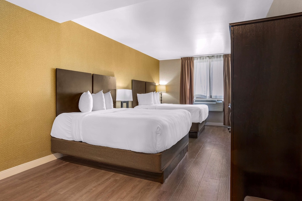 Suite, 2 Queen Beds, Non Smoking (Shower Only;with Sofabed) photo 3