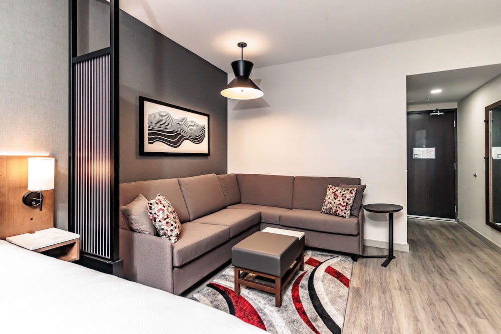 Room, 1 King Bed with Sofa bed