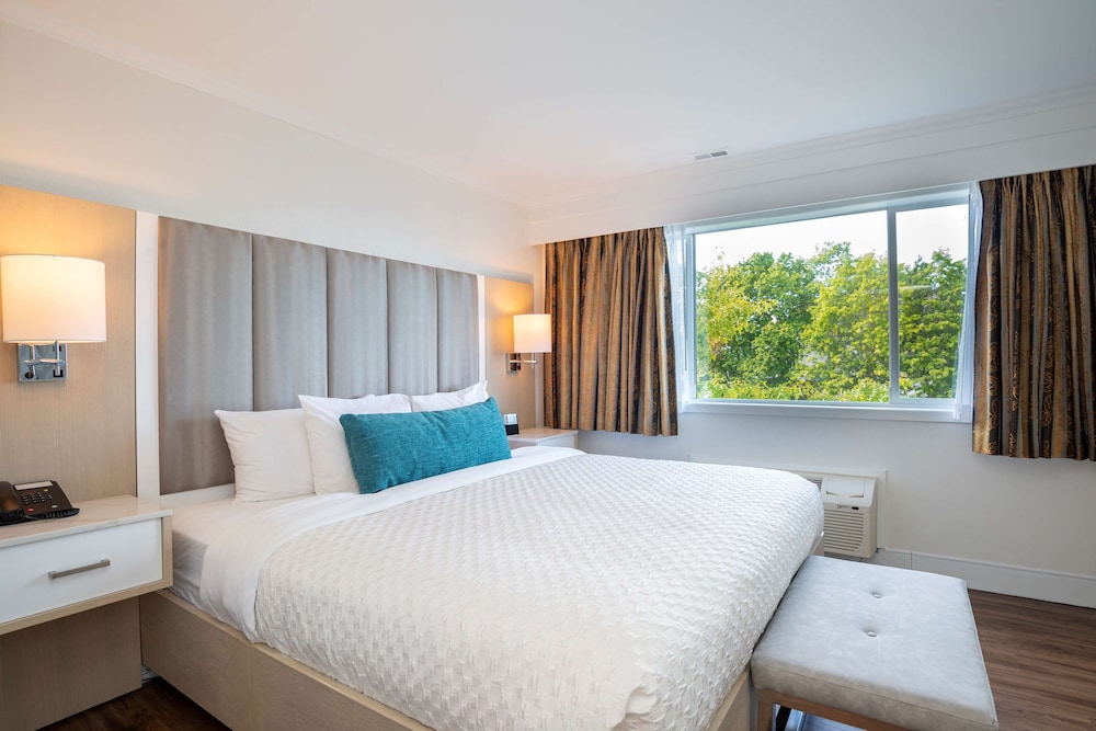 Suite, 1 King Bed, Refrigerator, Harbor View (with Sofabed) - Photo 3