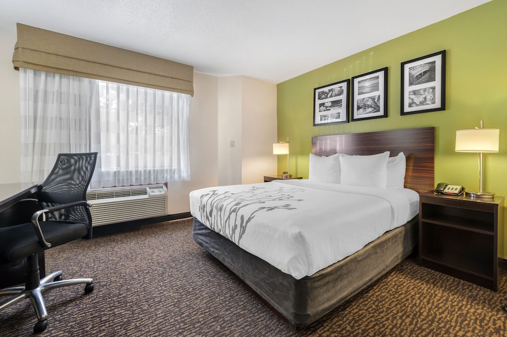 Room, 1 Queen Bed, Non Smoking - Photo 1
